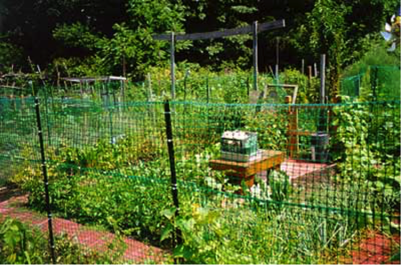 Fenced in community garden