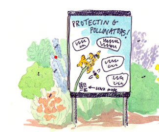 Drawing of an educational sign about pollinators