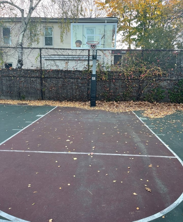 A basketball hope with the free throw line in front of it.