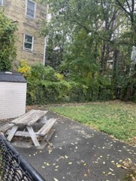 A small yard with an old picnic table.