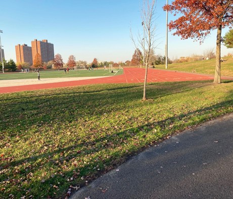 One side of a track with a soccer field in the center.  There are trees next to and behind the track.
