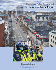 2013 ANNUAL CRIME REPORT