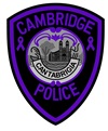 Domestic Violence Awareness Patch