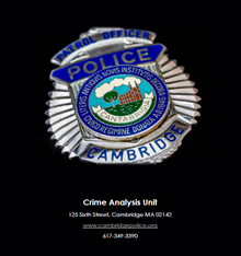 2013 ANNUAL CRIME REPORT