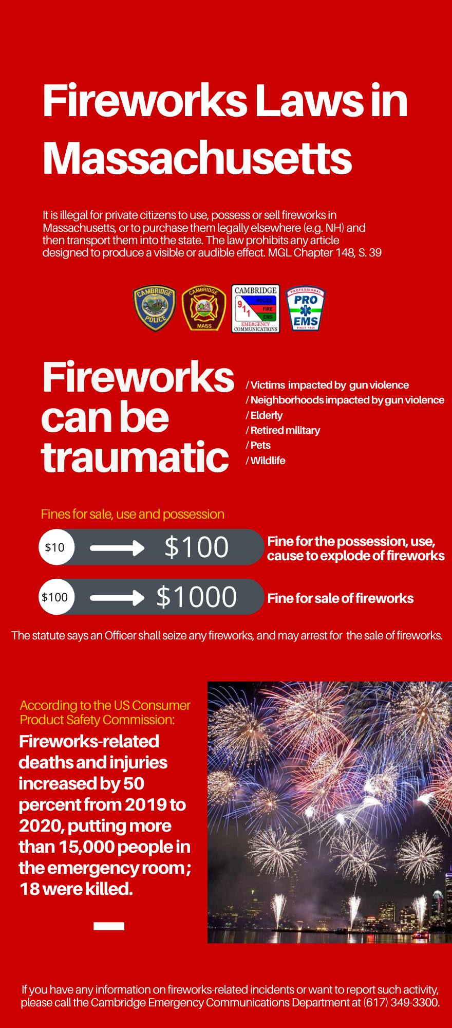 Fireworks Infographic
