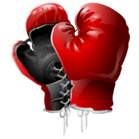 Cambridge Police Youth Boxing and Fitness Program - Police ...