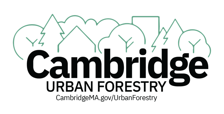 Logo for the Cambridge Department of Public Works Urban Forestry Division