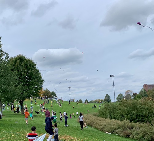 Kite flying at Danehy Park