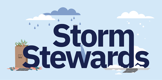 Storm Stewards