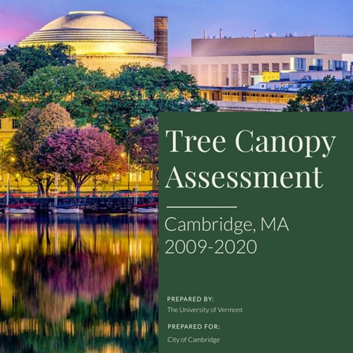 cover of 2020 tree canopy assessment