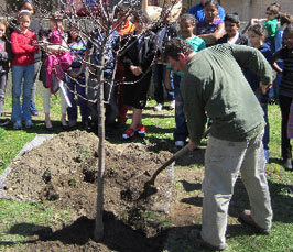 Arbor Day tree planting