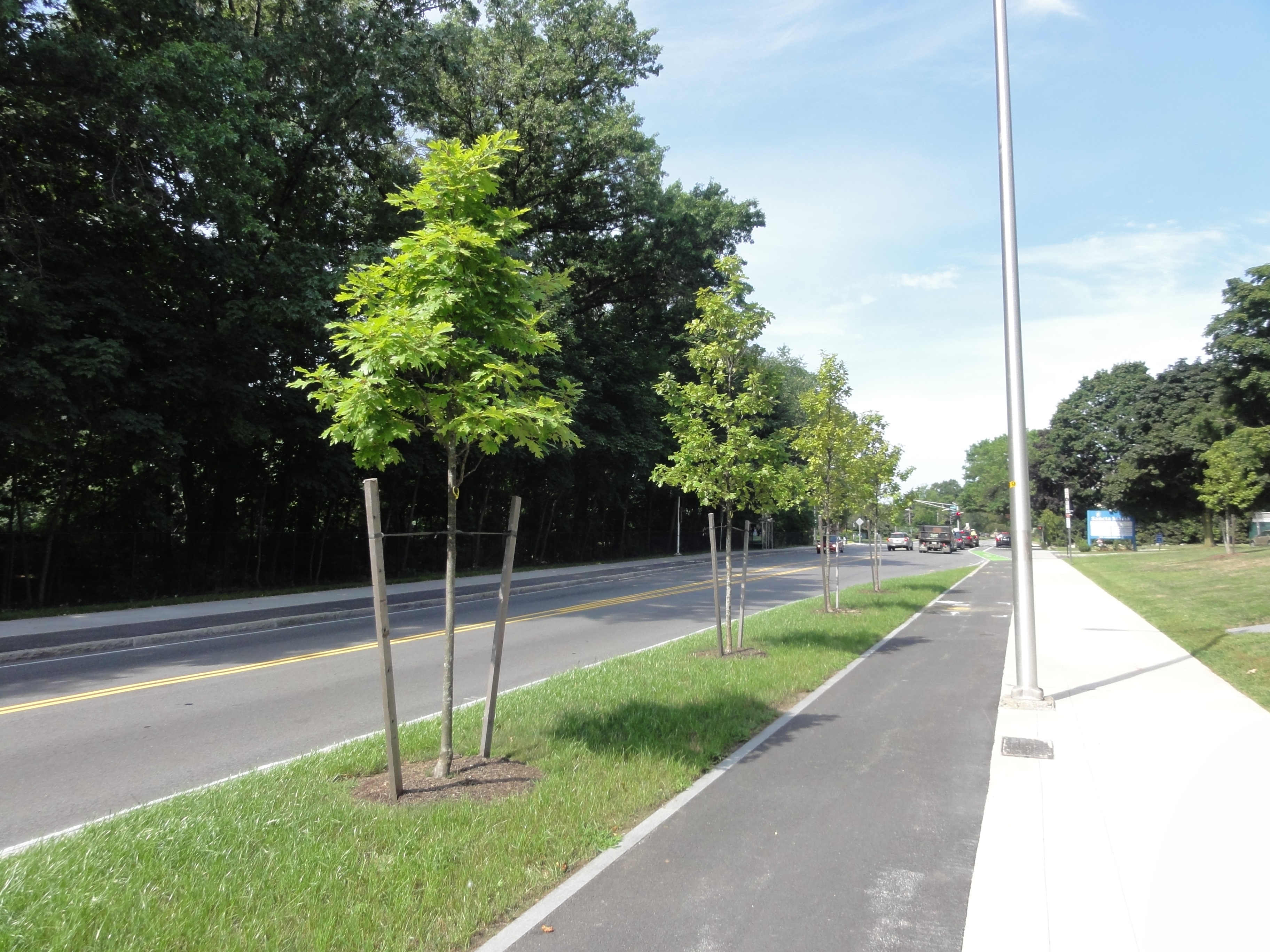 New Nursery to Help City Increase the Number of Trees Planted in a Season
