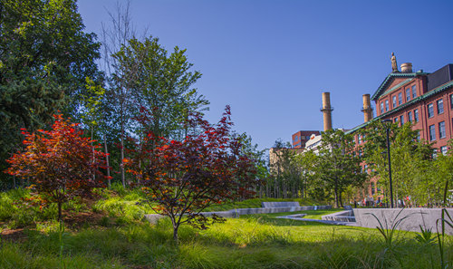 Photo of Triangle Park in East Cambridge