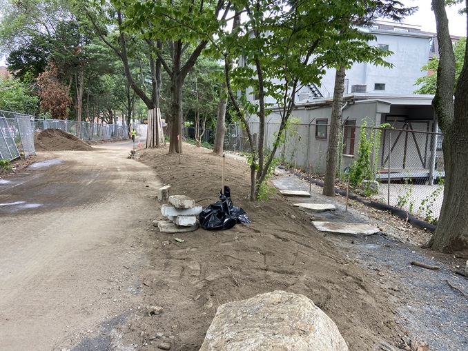 Linear Park Reconstruction