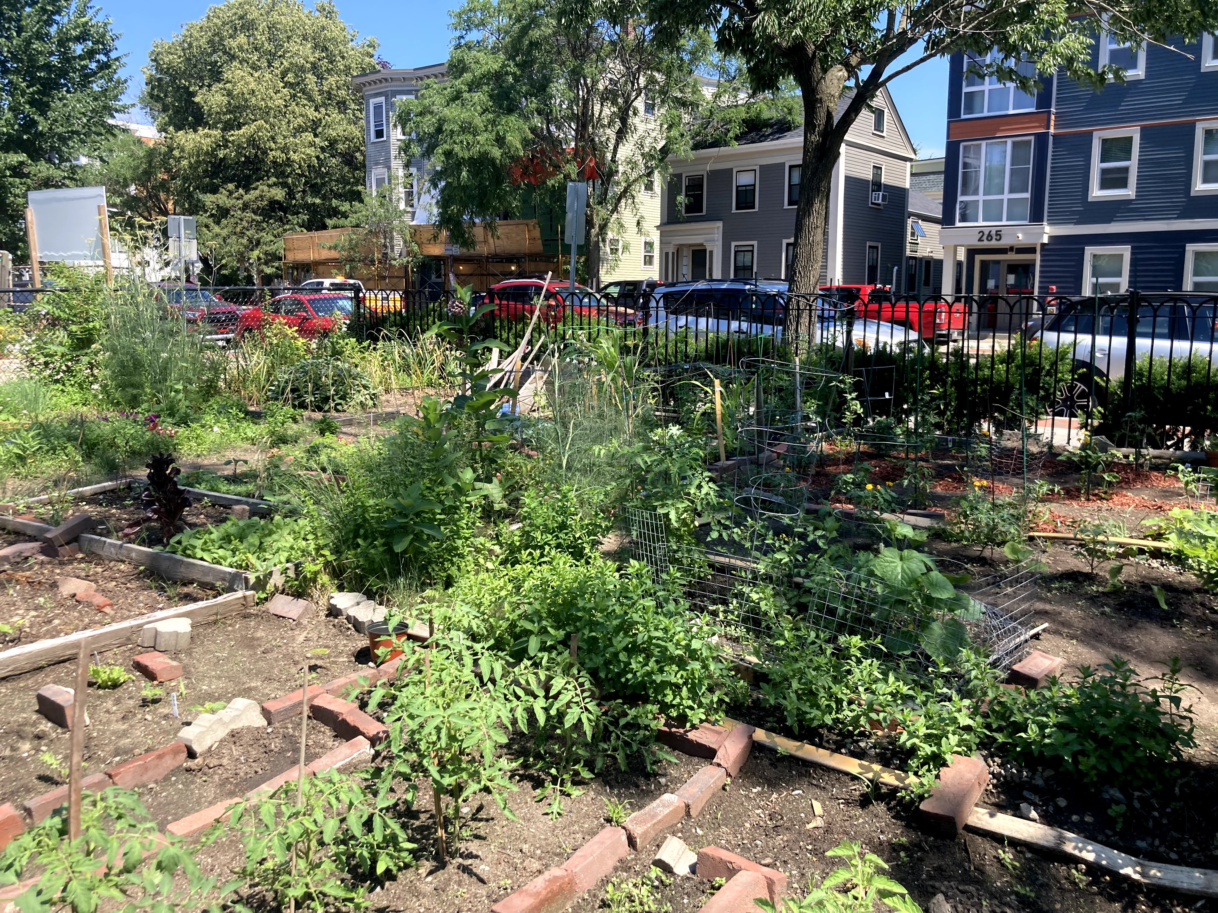 11 Squirrel Brand Community Garden