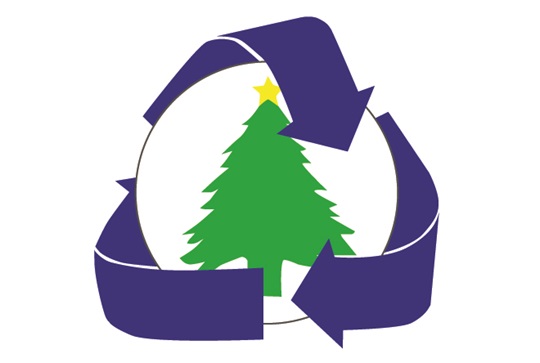 Christmas Tree Image