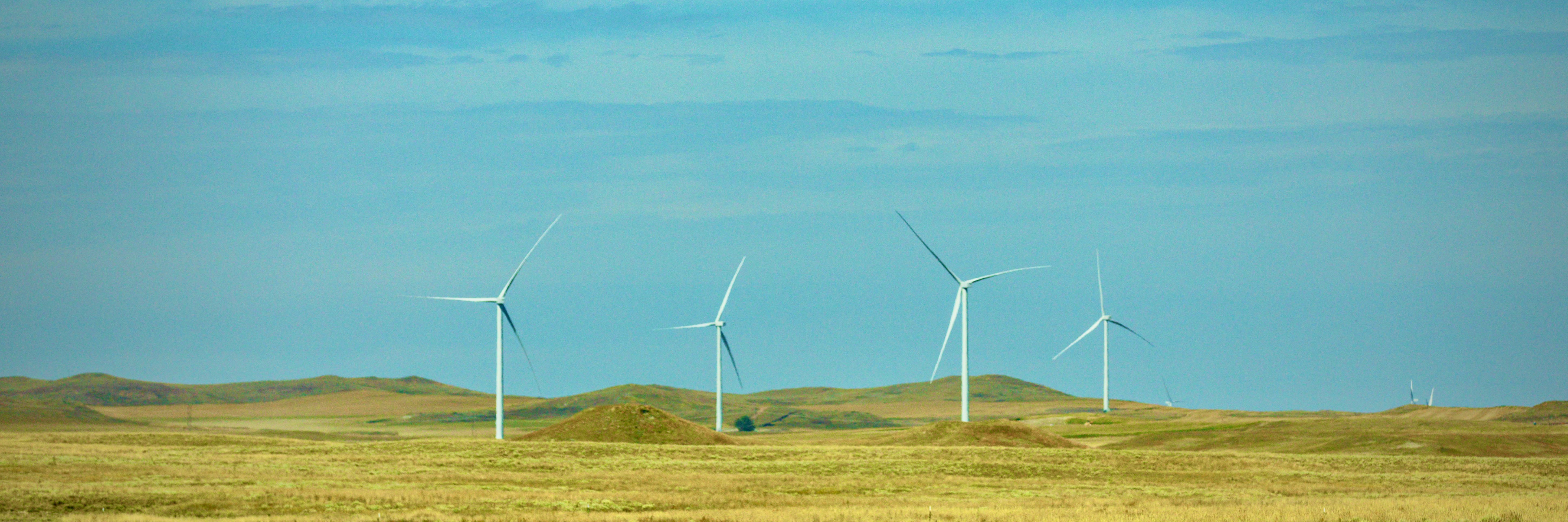 Some of the turbines at Bowman Wind in Texas.