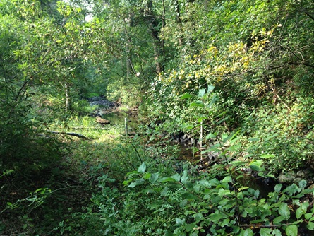 Lexington Brook tributary monitoring station. Photo taken on August 27, 2013.