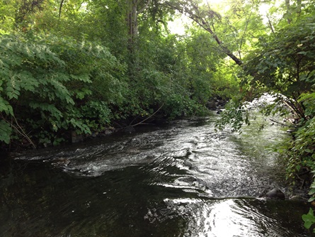 Route 20 tributary water quality monitoring station. Photo taken on August 27, 2013.