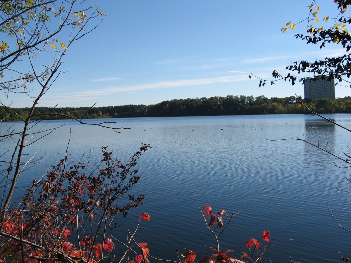 Fresh Pond Reservoir
