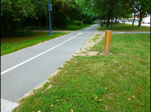 Image of bike counter in Fresh Pond Reservation