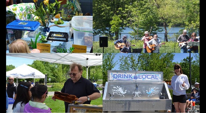 Wildlife, music, education, and water fun happening at a past Fresh Pond Day