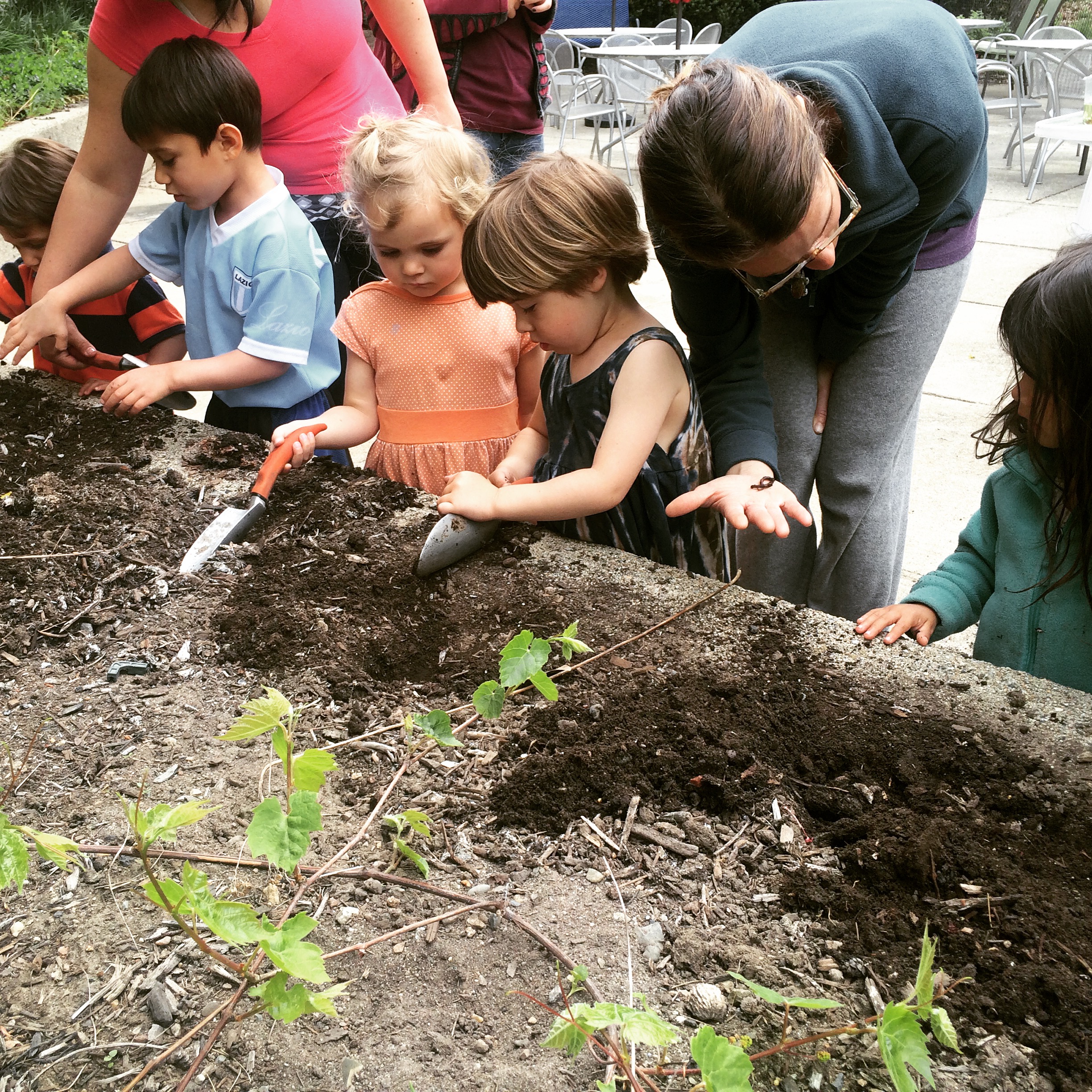 Kids Walks at Fresh Pond