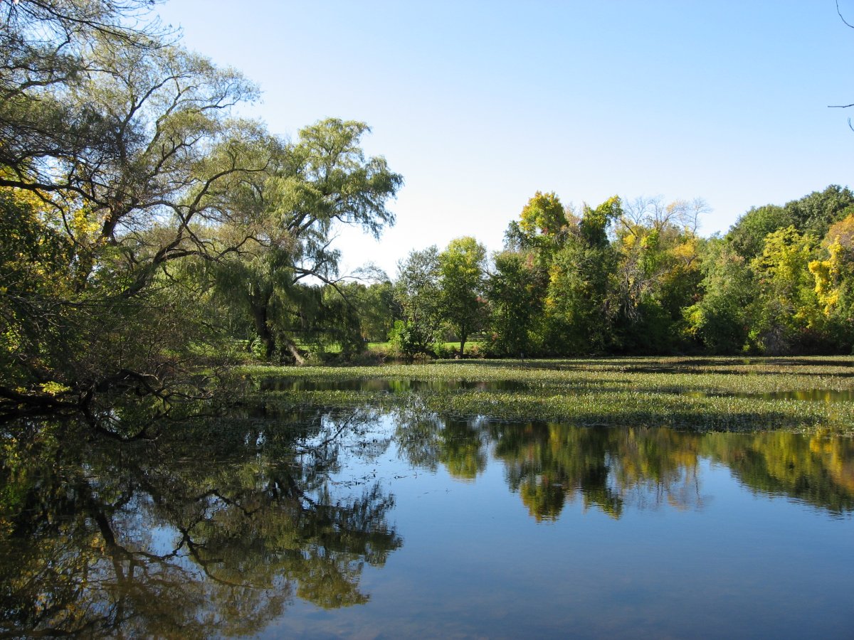 Black's Nook before restoration.