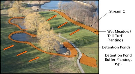 Drainage Diagram prepared by Bioengineering.
