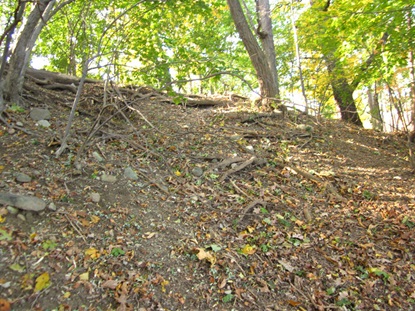 Glacken Slope before stabilization: little ground cover and high erosion velocities.