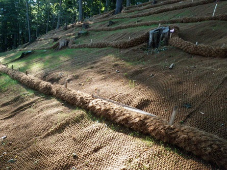 Another view of stabilized slope.