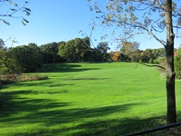 A view of Kingsley Park from Perimeter Road