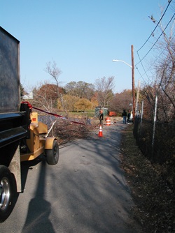 Perimeter Road tree clearing