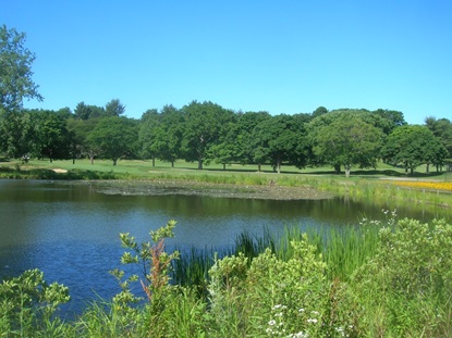 View overlooking Little Fresh Pond after the completion of the Shoreline Restoration and Drainage Improvements Project.