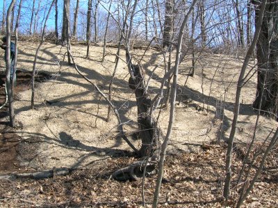 Erosion control fabric is placed below Neville Manor.
