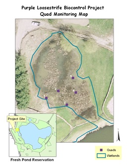 Location of  beetle monitoring quads.