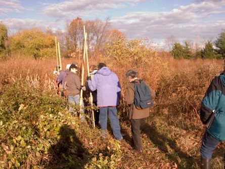 Volunteers entering the wetland to monitor during the fall.