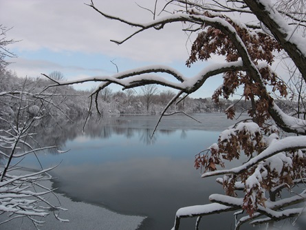 Winter at Fresh Pond Reservation.