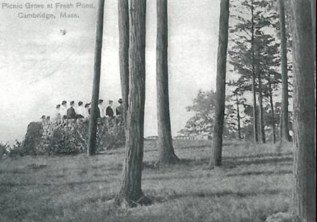 Historic Overlook at Kingsley Park, ~1896.