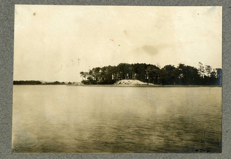 Fresh Pond Grove from South Shore, 1899.