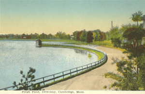 Drawing of the Olmsted pathway along Fresh Pond, Early 1900s.