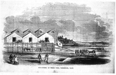 Ice Houses at Fresh Pond, mid 18th century.