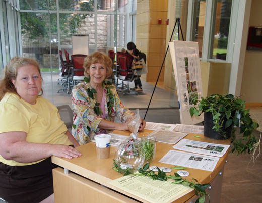 volunteers spreading the word (not the weed) at Cambridge Public Library