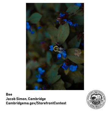 Image of artwork by Jacob Simon