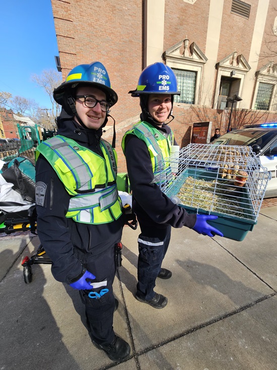 Box 3-42 - 30Jan2025 - 8