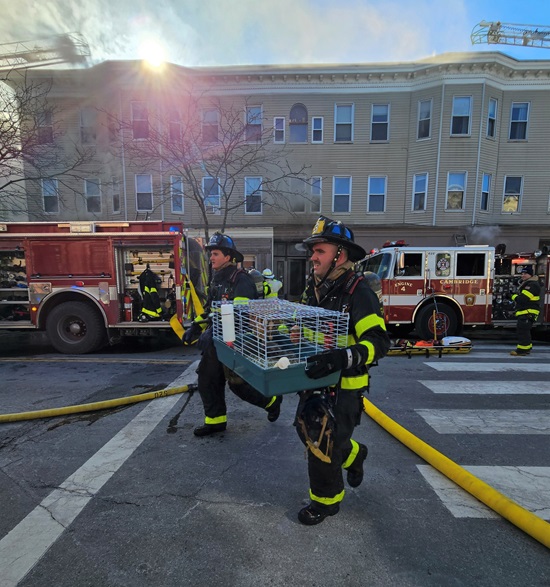 Box 3-42 - 30Jan2025 - 1