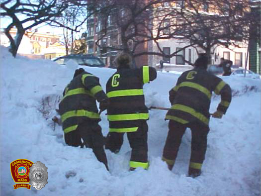 Adopt a Hydrant 2