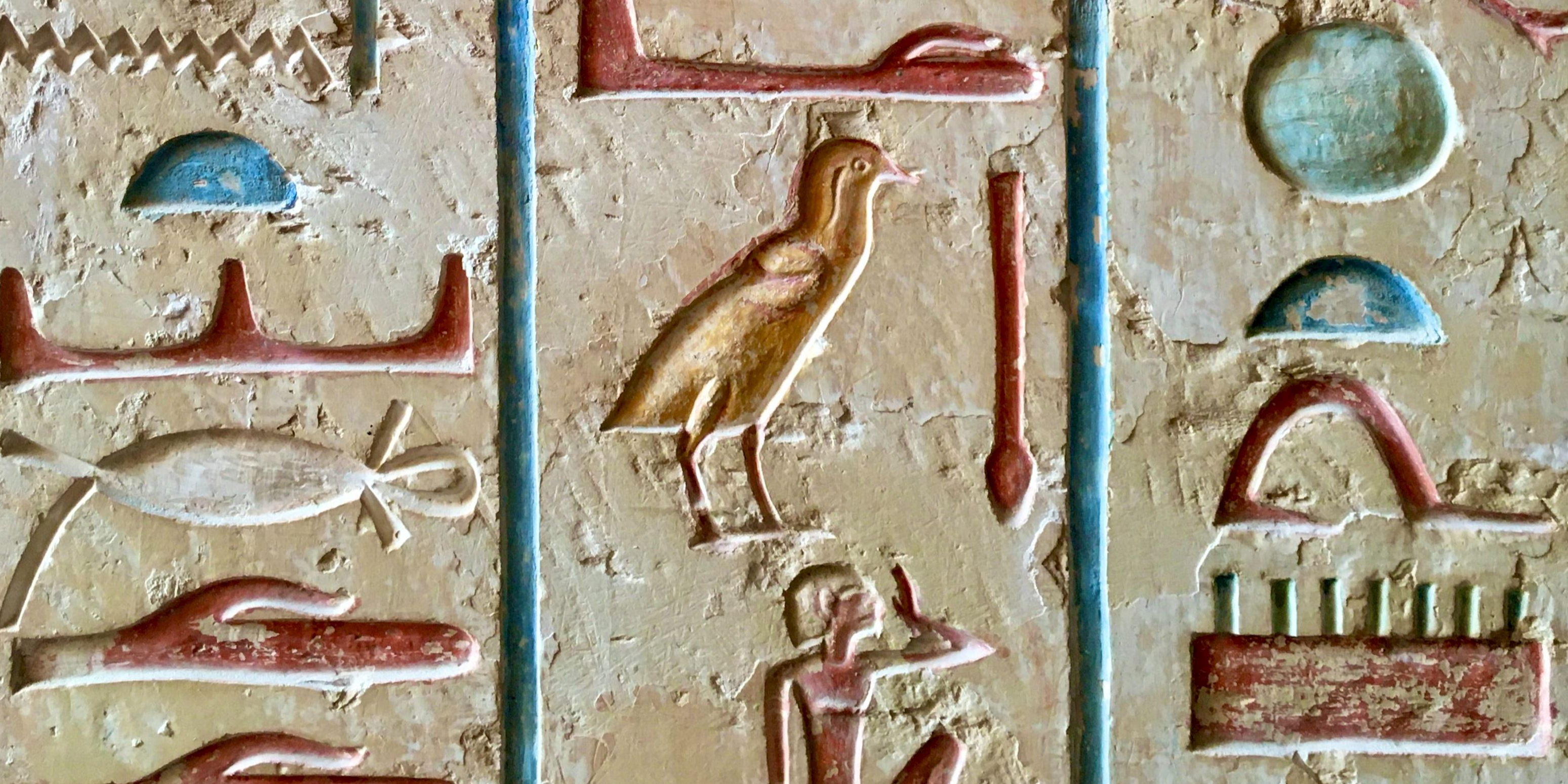 museum passes
