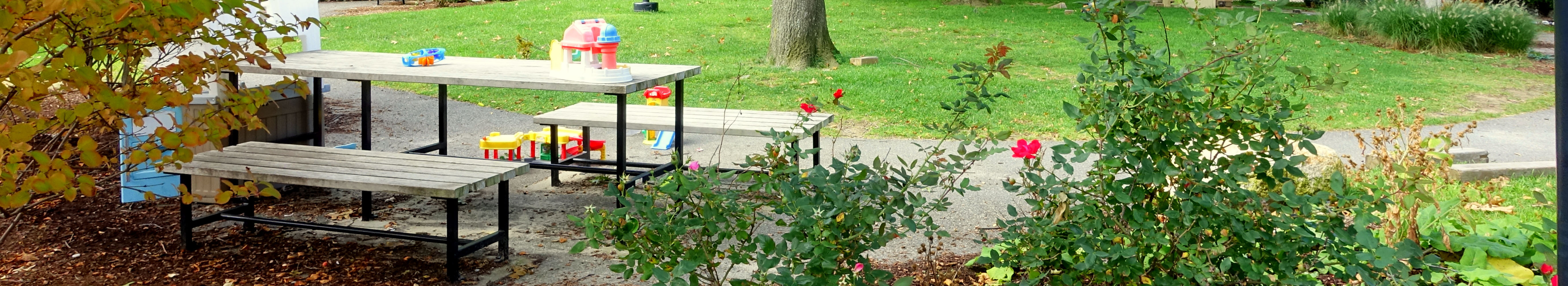 A bench and table in Fulmore Park