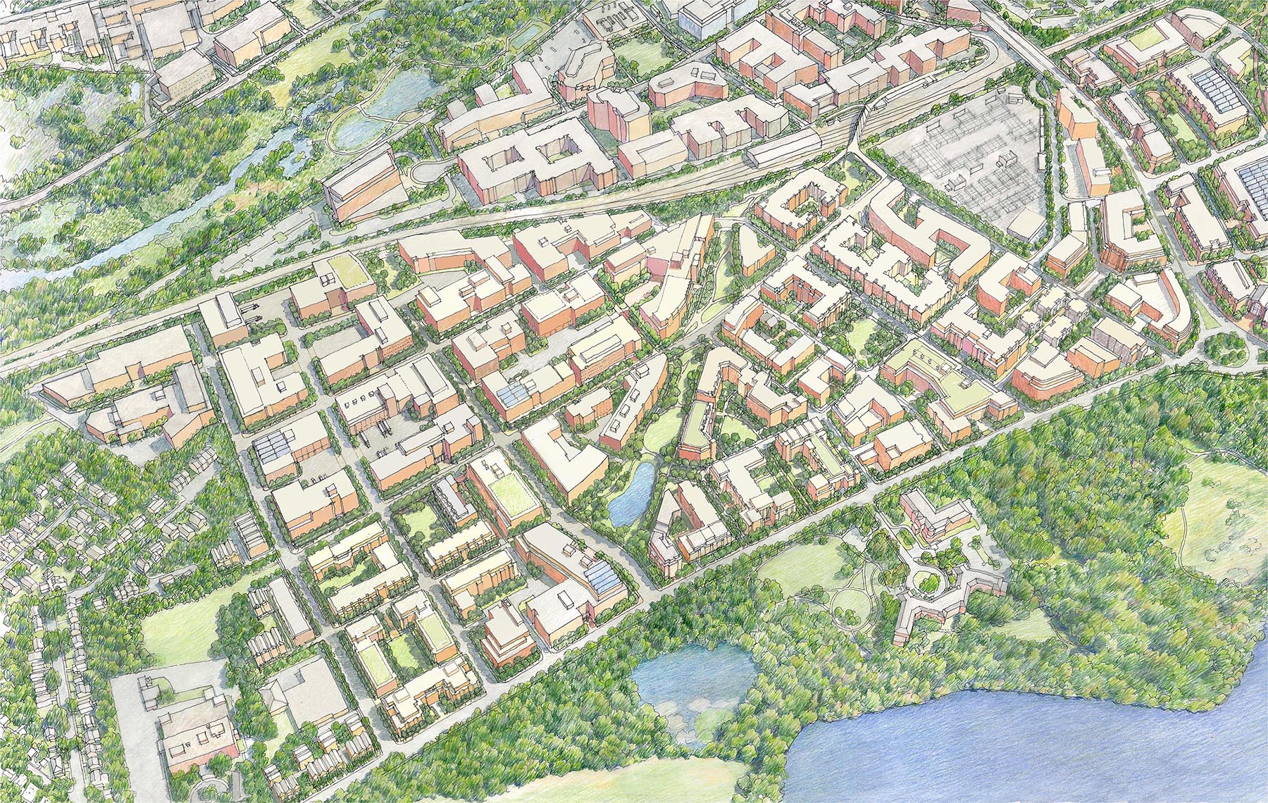 colored illustration of alewife with buildings and greenspace